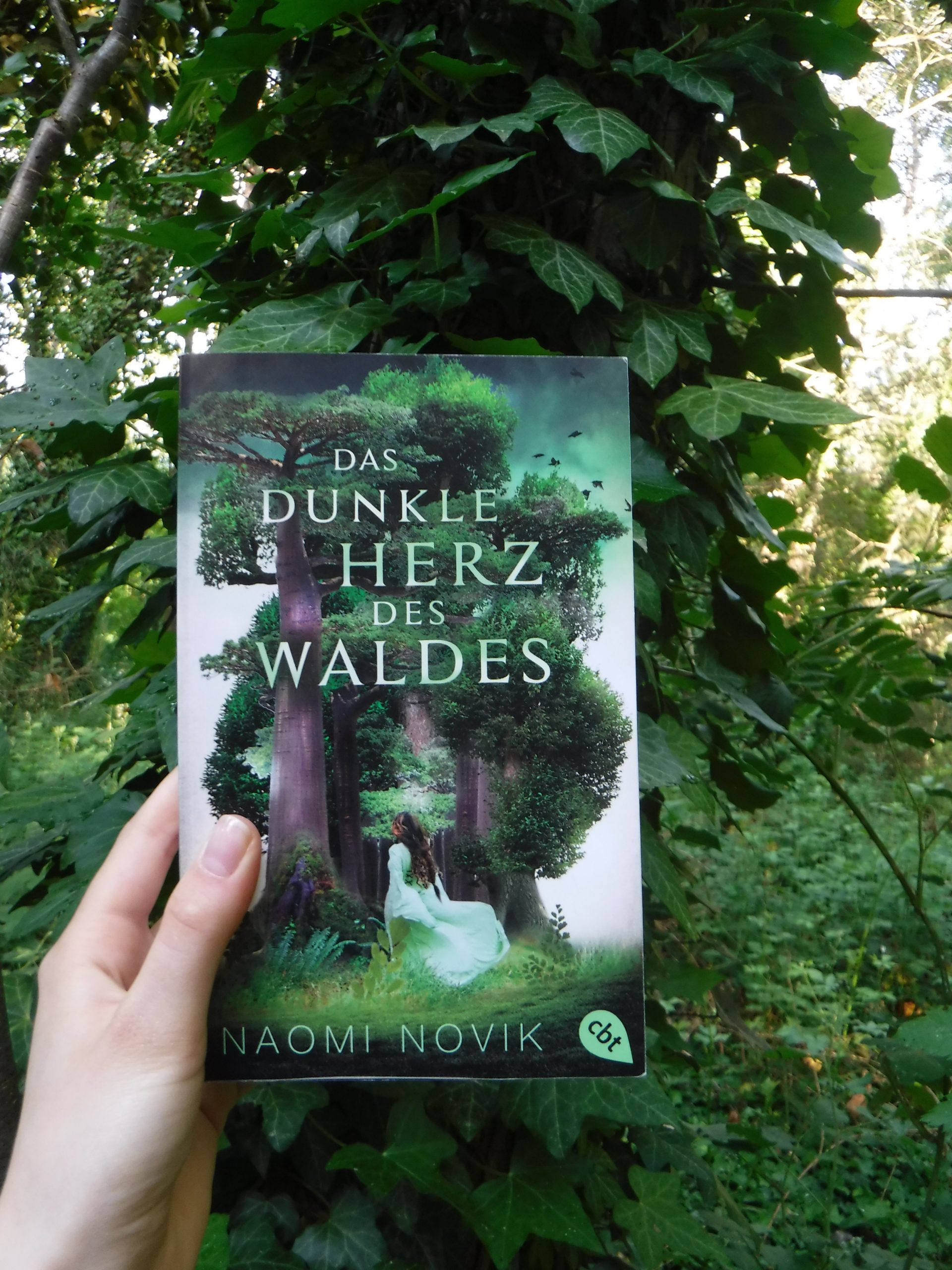 Das dunkle Herz des Waldes by Naomi Novik